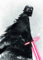 Komar Wandbild | Star Wars EP9 Kylo Vader Shadow | Kinderzimmer, Jugendzimmer, Dekoration, Kunstdruck | ohne Rahmen | WB173-50x70 | Größe: 50 x 70 cm (Breite x Höhe)