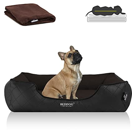BedDog Premium Orthopädisches Hundebett WUFFI, Hundesofa aus Kunstleder, Abnehmbarer Bezug, Kuschel-Decke Zugabe - Mocca (braun/schwarz)