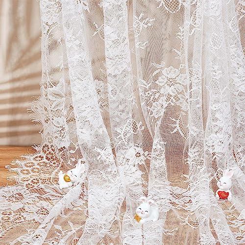 GORGECRAFT 300x150cm Tela de Encaje Chantilly Blanco Encaje de Pestañas Francés Telas de Bordado Floral Borde Festoneado de Nailon Vintage Cinta de Ajuste Flor Ropa de Bricolaje Apliques de Costura