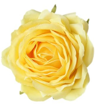 Whakano 15 Stück Künstliche Rosen Blüten-Köpfe,Deko Blumen Kunstblumen Rosenköpfe,Durchmesser 9 cm,Künstliche Blumen Rosen Blumenköpfe,für Valentinstag,Muttertag,Hochzeit,Party,Home Deko,Gelb