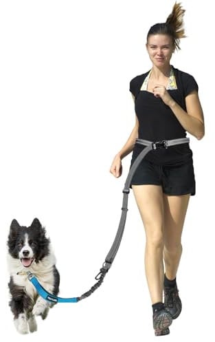 WANFIRE 2-in-1 Freihandleinen Hundeleine&Autosicherheitsgurt – 1,47–2,3 m Lange, verstellbare Bungee-Leine zum Spazierengehen, Laufen und Wandern.