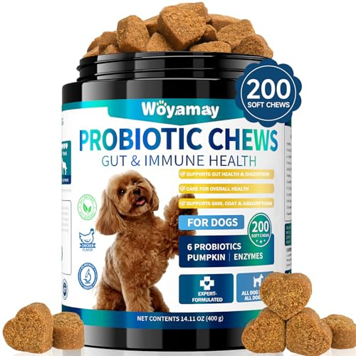 Woyamay Probiotika Hund – 200 Kausnacks für Darmflora & Verdauung | Weiche Kausnacks mit Hühnergeschmack zur Unterstützung von Verdauung, Darmflora, Fellpflege und allgemeinem Wohlbefinden