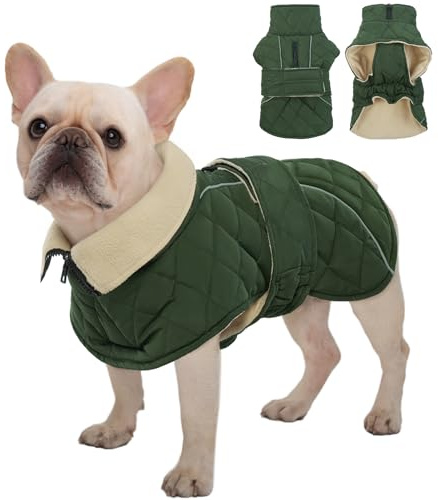 Kuoser Hundemantel für Kleine Mittlere Hunde, Wasserdichter Wintermantel für Hunde, Bequeme Warme Hundejacke mit Fleece, Elastischer Bauch & Klettverschluss, M Grün
