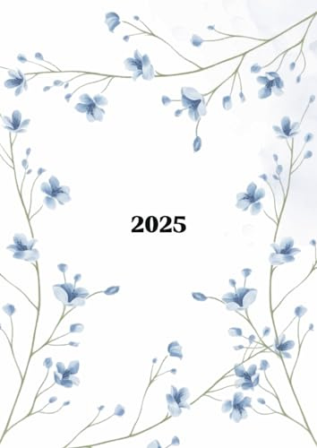 Tagesplaner 2025: 1 Tag auf 1 Seite, Organisator mit Uhrzeit von Januar bis Dezember, Buchkalender A4