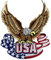 Urbanski Patch USA Adler zum Aufbügeln 12,5 x 12,3 cm | Aufnäher Applikation Bügelbild