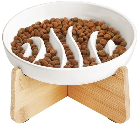 PETTOM Gamelle Anti Glouton Chat Céramique Surélevée | Bambou Support, Anti Vomissements, Manger Lentement, Aliment Sec Humide (Blanc, Poisson)