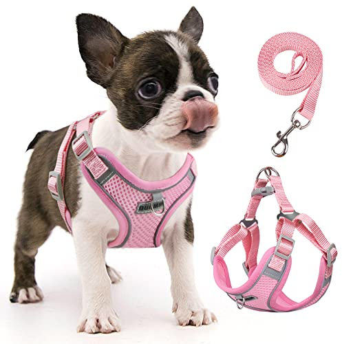 rennaio Harnais anti-traction pour chien – Harnais réglable avec 2 clips pour laisse, harnais rembourré ultra respirant, harnais et laisse réfléchissants pour chiens de petite et moyenne taille (rose
