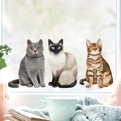 Wandtattoo Loft Fensterbild mit 3 sitzende Katzen Siamkatze Perserkatze Katzenrassen, A3 Bogen, Fensteraufkleberl, Selbstklebende Fenstersticker, Abziehbilder, Fensterdeko,