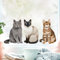 Wandtattoo Loft Fensterbild mit 3 sitzende Katzen Siamkatze Perserkatze Katzenrassen, A3 Bogen, Fensteraufkleberl, Selbstklebende Fenstersticker, Abziehbilder, Fensterdeko,