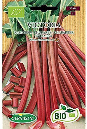 Germisem Orgánica Victoria Ruibarbo 10 Semillas, ECBIO5028