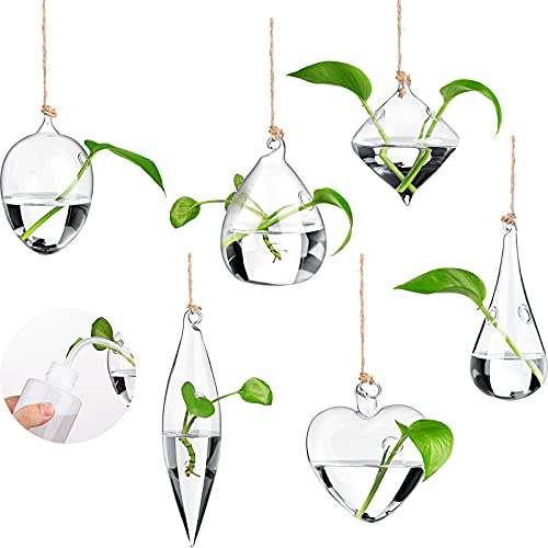 Zopeal 6 Pieces Wall Hanging Glass Planter Terrariums Hanging Plant Propagation Stations Wall Vase Containers Watering Squeeze Bottle with Rope and Hooks for Hydroponic Plants Flowers Home Decor