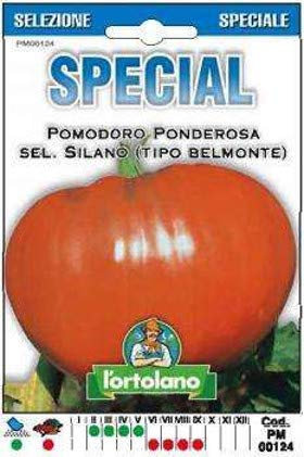 Sementi di ortaggi ibride e selezioni speciali ad uso amatoriale in buste termosaldate (80 varietà) (POMODORO PONDEROSA SEL. SILANO (TIPO BELMONTE))