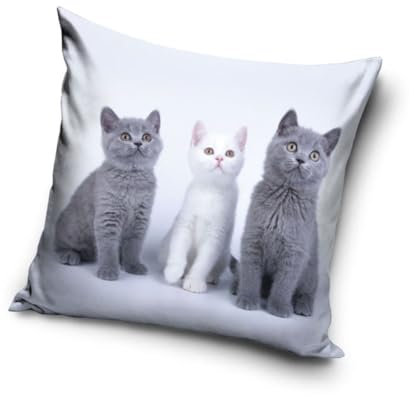 Katzen Baby Motiv Kissenhülle Kissenbezug 40x40 cm (PNL231182)