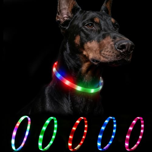 Nepfaivy Leuchthalsband Hund USB Aufladbar, LED Halsband Hund, Mehrfarbig | Wasserdichtes Hundehalsband Leuchtend mit Verstellbarer Länge für Mittlere bis Große Hunde, 4 Beleuchtungsmodi für Sicherheit