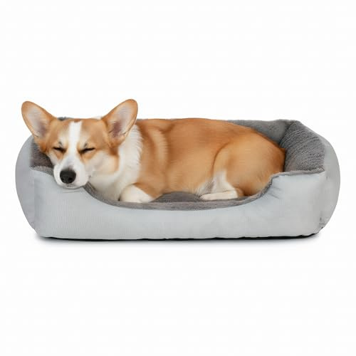 Eclove Katzenbett mit Rand, kleine Hundebett Rutschfester Basis, 45 x 60 cm, Plüsch Quadrat Innenbereich Haustierkissen Waschbar, Ganzjährig, Haustierschlafbett für Kätzchen Welpen, Grau