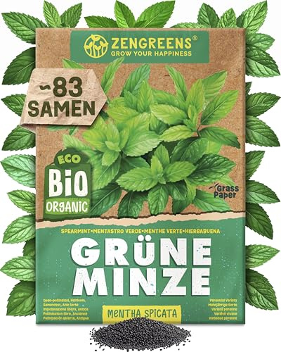 ZenGreens® - Bio Grüne Minze Samen - Grüne Minzesamen - Kräutersamen für den einfachen Anbau im Garten, Balkon oder Küche - Saatgut - Speer-Minze