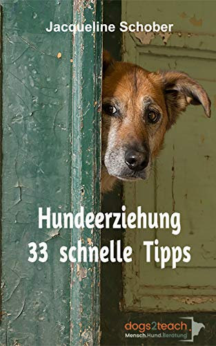 Hundeerziehung: 33 schnelle Tipps