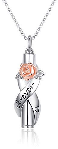 PRAYMOS Asche Anhänger 925 Sterling Silber Urnenketten für Kette Urne Andenken Halskette Memorial Feuerbestattung Schmuck für Frauen Männer Fläschchen Kremation