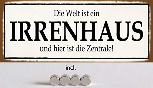 Blechschild 27x10cm gewölbt incl. 4 Magneten Die Welt ist EIN Irrenhaus Spruch Lustig Sprüche Deko Geschenk Schild