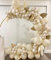 Ballon Girlande Beige, Luftballon Girlande Hochzeit, Ballongirlande mit Doppelschichten Sandweiß Perlenweiß Luftballons, Beige Ballons Deko für Hochzeit Verlobung Geburtstag Boho Party Dekoration