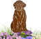 Terma Stahldesign Edelrost Hund Labradoodle, Handmade Germany, tolle gartendeko aus Rost-Metall, deko rostoptik, Rostfiguren Tiere, rostfiguren Garten, Rostdeko