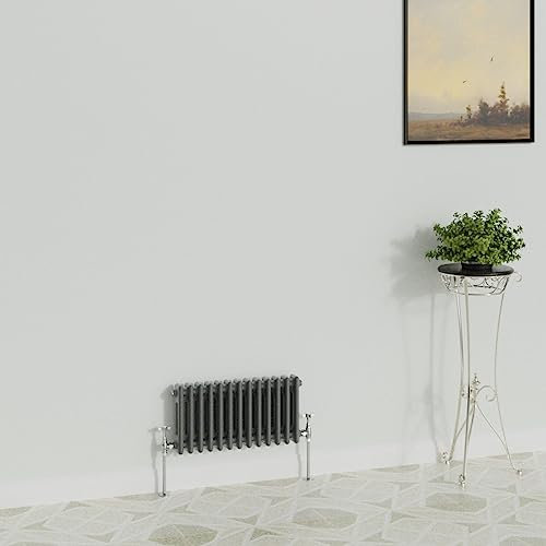 WarmeHaus Traditional Radiator Anthracite Horizontal Double Column Cast Iron Grey Radiators 300x605mm