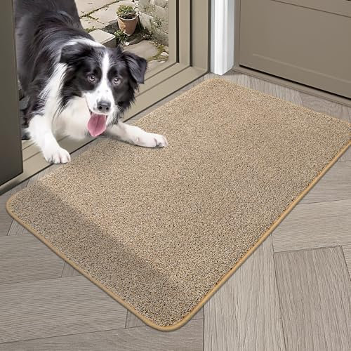 COSY HOMEER Fussmatte Innen 60 x 90 cm, Weich Saugfähig und Schmutzabweisend Fußmatte rutschfest, Niedriges Profil Schmutzfangmatte Maschinenwaschbar für Hintertür, Eingang, Flur, Küche, Beige