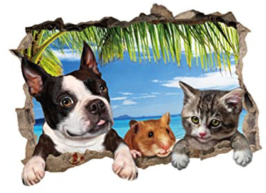 Veemoon Durch Wandtattoos Hund Wandtattoos Applikationen Tier 3d