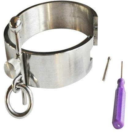 Neues Schloss Metall Halsband mit Traktionskette Klein-Ring BDSM Rolle Spielen Sex Halsfessel Halsreif Erotik Sklave Neck Kragen Fetisch Sexspielzeuge für Paare,Silber,Frauen 12 cm