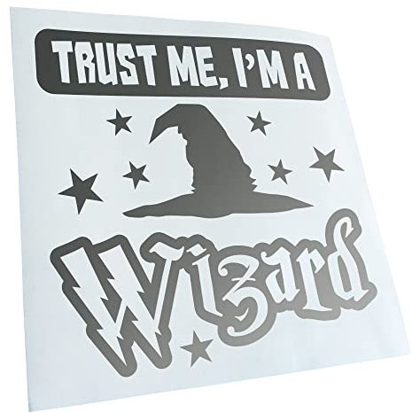 Kiwistar - Autoaufkleber - Silber - 60x60cm - Trust me, im a Wizard Sticker - Heckscheibe Auto Aufkleber wetterfest für Kfz LKW Mofa Truck - Sticker außen selbstklebend Tuning Zubehör für Fenster