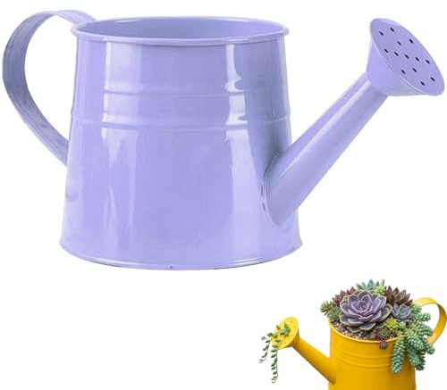 Annaffiatoio in metallo da 1 litro con irrigatore, piccolo bollitore vintage per irrigazione da giardino per interni ed esterni, fiori, prato, strumento da giardinaggio leggero in latta resistente
