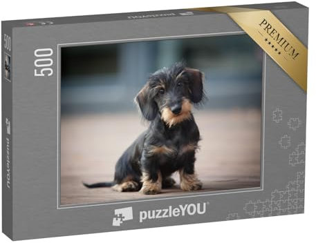 puzzleYOU: Puzzle 500 Teile „Niedlicher Rauhaar-Zwergdackel-Welpe“ – aus der Puzzle-Kollektion Hunde, Dackel