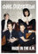 ZAPORA One Direction Poster MADE IN THE AM Albumcover Leinwand Poster Wandkunst Dekor Druck Bild Gemälde für Wohnzimmer Schlafzimmer Dekoration ungerahmt 30 x 45 cm