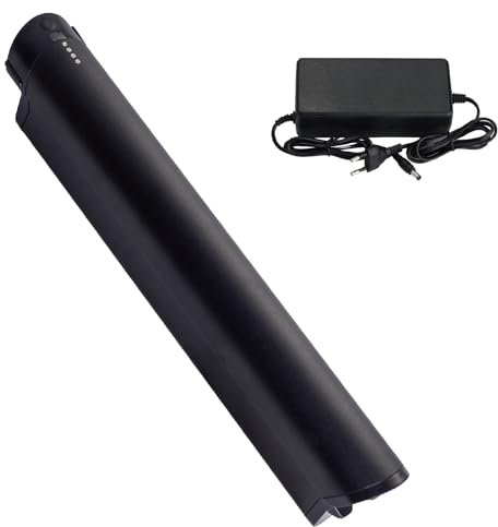 Batteria Ebike 36V 11Ah di ricambio per F.LLI Schiano E-Wave/Braver/E-Fully Reention EEL Mini per Zündapp z810/250W/350W/500W motori e-bike Pedelec batteria con caricabatterie (36V 11Ah)