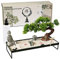 BangBangDa Japanische Meditationsdekoration, Bonsai-Dekoration für den Tisch, Schreibtisch, Buddha, Sand, Tischdekoration, Geschenke für Frauen, Männer, Freunde