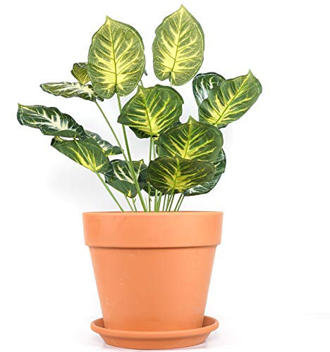 Yishang Pot en argile pour plante avec soucoupe 30,5 cm