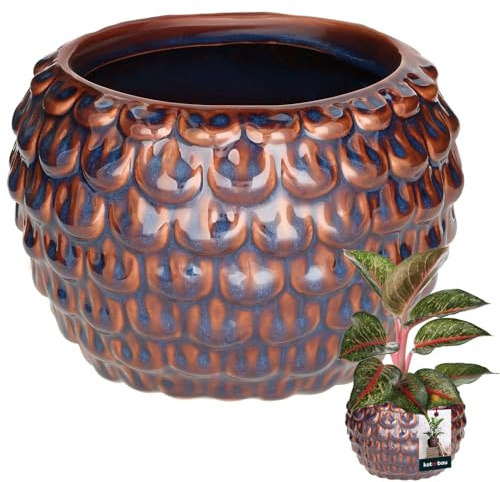 KOTARBAU® Pot de fleurs artistique en céramique - Grand modèle vintage écailles de poisson - Fait à la main - Diamètre : 17 cm - Hauteur : 13 cm - Pot à fleurs en céramique - Bleu et marron