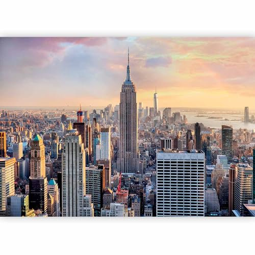 murando - Carta da Parati Adesiva New York 343x256 cm Fotomurali Adesivi Murali Rivestimento Parete Moderna per Pareti Adesiva Muro Decorativo Fotomurale Soggiorno Manhattan Skyline