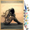 JanFebMar Peinture par Numéro, Kits de Peinture à l'Huile avec 24 Peintures Acryliques et 3 Pinceaux pour Adulte et Enfant, 40 x 50 cm DIY Paint by Numbers sur Toile Sans Cadre