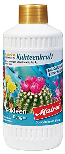 mairol Premium Cactus abono kaktee Fuerza Liquid 500 ml