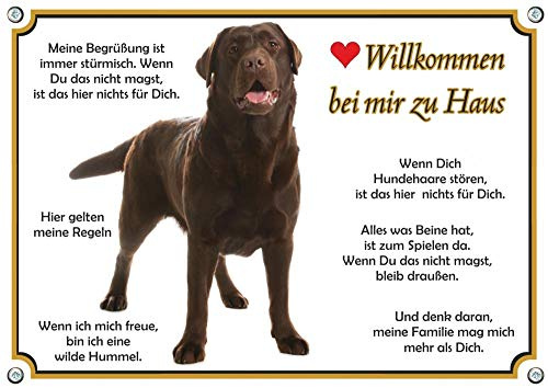 Hundeschild Labrador Retriever braun - Willkommen - uv-beständiges Metallschild, DIN A4