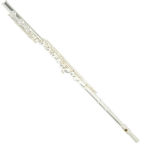 17-Tasten-Flöteninstrument Mit Offenem Loch, C-Ton, Weißkupfer, Versilberter Rohrkörper, Sterlingsilber-Mundstück, Flöteninstrument Mit Box Querflöte für Anfänger