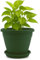 TECHZOCO Macetero con Plato, Maceta Redonda clásica de plástico con Plato, Tiesto para Plantas, Fabricado en Polipropileno, 29 cm Altura x 35 cm Diámetro Superior x 16 cm Diámetro Base, Verde