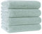 Polyte - 4 Serviettes de Bain en Microfibres - sèche Rapidement/ne Peluche Pas - Vert Clair - 145 x 76 cm