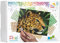 Pixel P090042 Mosaik Geschenkverpackung Leopard, Pixelbild ca. 25,4 x 20,3 cm, kinderleichtes Stecksystem, ohne Bügeln und Kleben, Steinchen aus Biokunststoff, ideal für Kinder