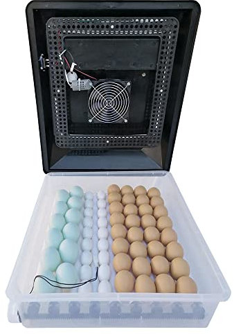 EASY MEDIA incubatrice automatica professionale EM60 per 60 uova di gallina, tacchina, faraona, anatra, oca con girauova automatico a rulli, igrometro