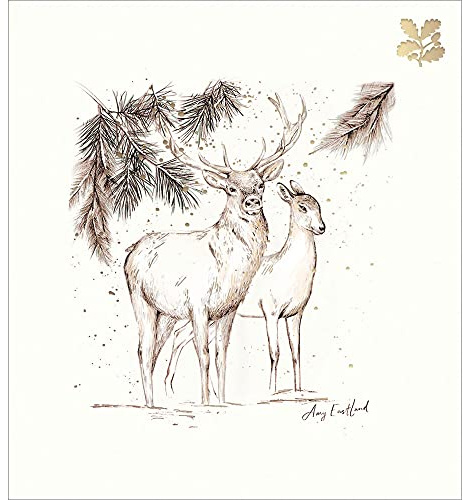 Pack of 5 National Trust Stag & Doe Charity Christmas Cards Foiled Xmas Cards 493874