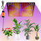Pflanzenlampe LED Vollspektrum 225 LEDs 1000 W Pflanzenlicht hängend mit 4 hängenden Haken Pflanzenlicht Wachsende Lampe LED Wachsendes Licht für Pflanzen Gemüse Blumen ((Rot+Blau+Weiß+Orange))