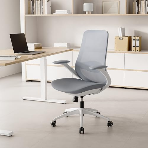 BERYTH Bürostuhl Ergonomisch Schreibtischstuhl Drehstuhl Verstellbarer Armlehnen Lendenstütze gasdruckfeder bürostuhl liegefunktion 68.5cm Große Sitzfläche für Büro Home Office Chair Arbeitszimmer