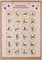 CL&MH Adventskalender Weihnachts-Rubbelkarte – Adventskalender – Überraschung. Lustige, unhöfliche Weihnachts-Rubbelkarte – Frecher Adventskalender – Postkarte zum Rubbeln. Adventskalender Kamasutra